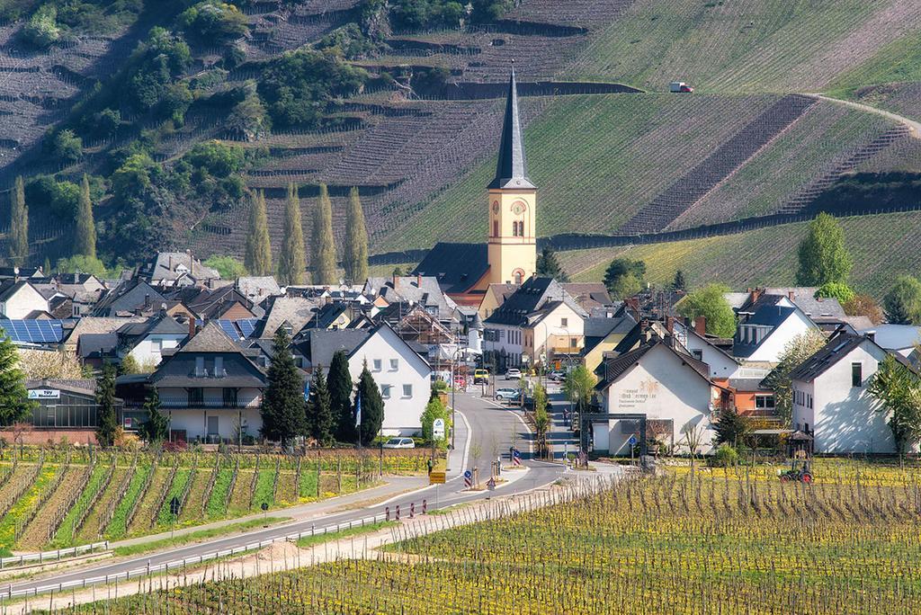 Weingut & Gaestehaus Edwin Hoffmann Trittenheim Exteriér fotografie