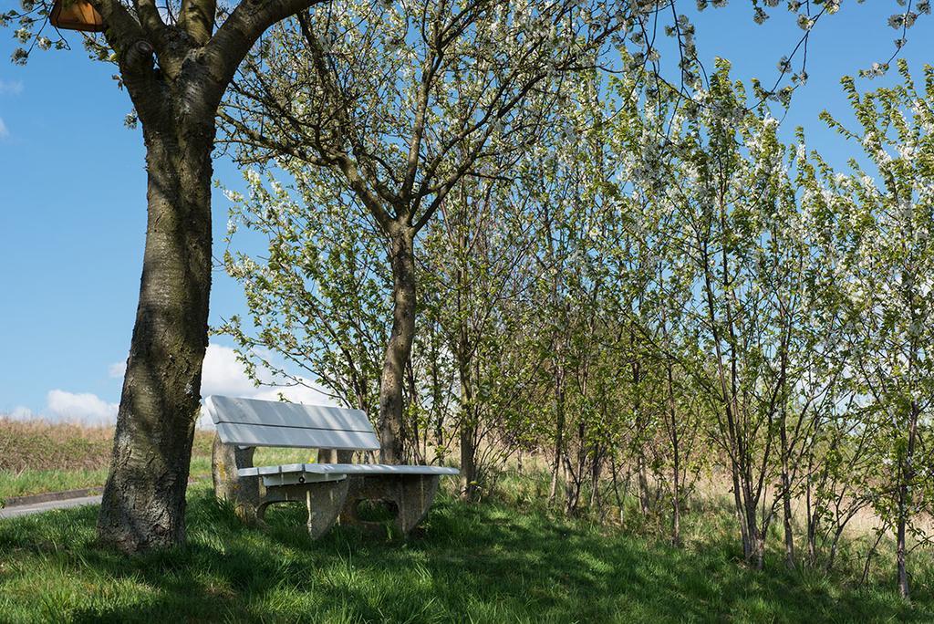 Weingut & Gaestehaus Edwin Hoffmann Trittenheim Exteriér fotografie