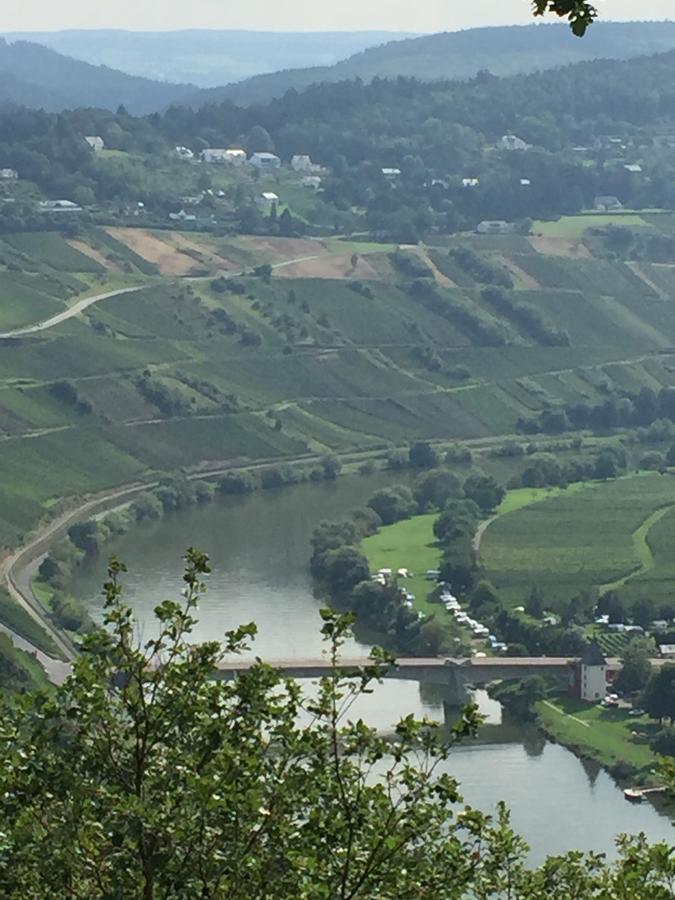 Weingut & Gaestehaus Edwin Hoffmann Trittenheim Exteriér fotografie